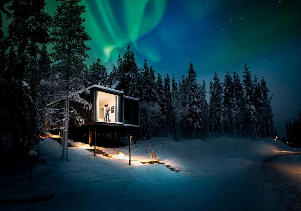 Treehouse hotel at night with northern lights