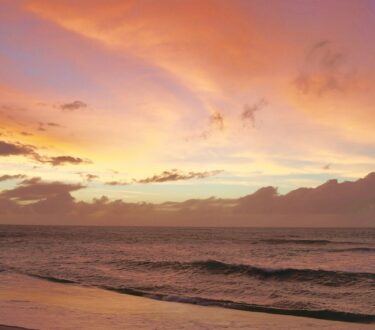 Team Spotlight: Debie Sepetkova