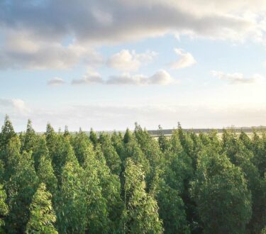 Team Spotlight: Jade Woodall